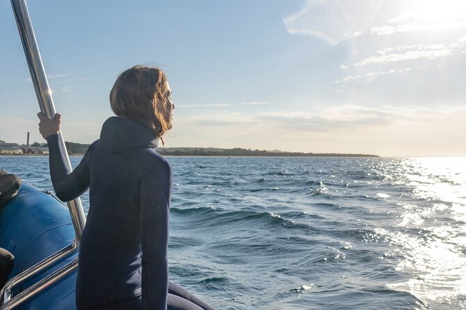 Dolphin and Seal Swim Reef Snorkel Boat Tour Mornington Peninsula - Included in the Tour