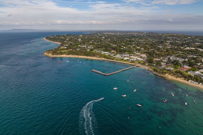 Dolphin and Seal Swim Reef Snorkel Boat Tour Mornington Peninsula - Safety Considerations