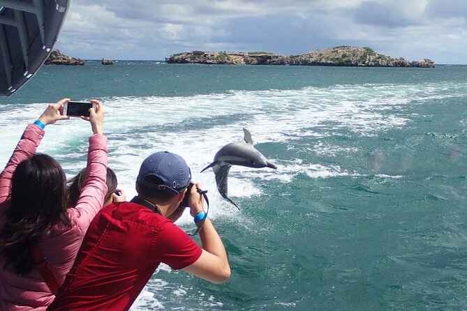 Dolphin and Sealion, Seafood Snorkel Adventure - Location and Accessibility
