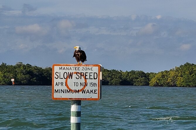 Dolphin and Sightseeing Tiki Cruise - Safety and Professionalism