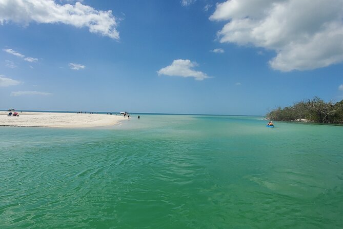 Dolphin and Sightseeing Tiki Cruise - Booking and Pricing