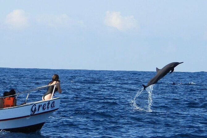Dolphin and Whale Watching Boat Trip in Puerto Escondido - Key Points