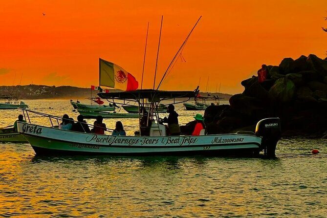 Dolphin and Whale Watching Boat Trip in Puerto Escondido - The Value of the Experience