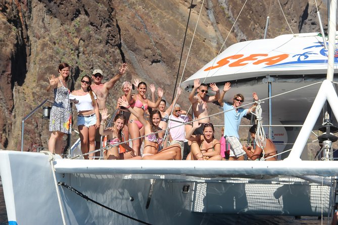 Dolphin and Whale Watching Catamaran Cruise From Funchal - Whats Included