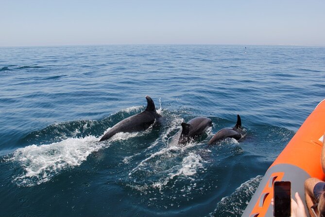 Dolphin and Whale Watching in Lagos - Rigid Inflatable Boat Tour