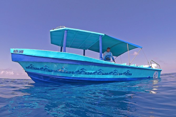 Dolphin and Whale Watching Tour in Drake Bay as Seen on National Geographic - Experience and Activities