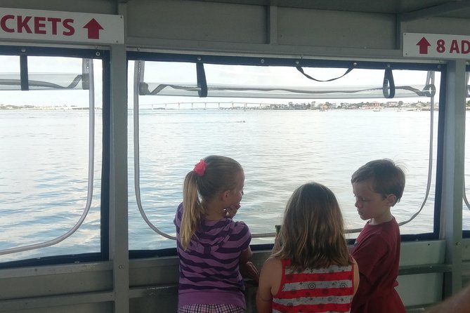 Dolphin and Wildlife Adventure of St. Augustine - Cruise Features and Amenities