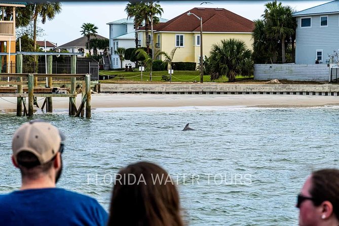Dolphin and Wildlife Adventure of St. Augustine - Accessibility and Policies