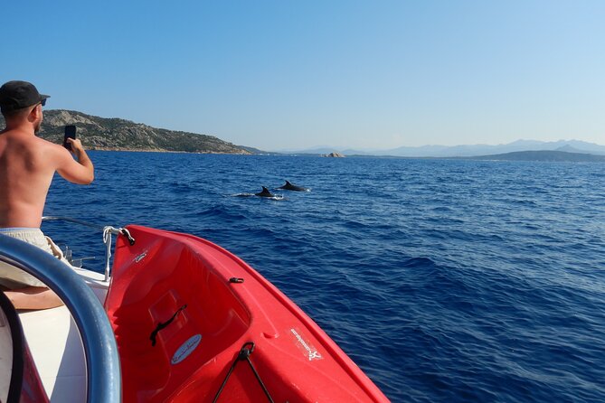 Dolphin Area Rib Boat Tour Small Group_ Guided Tour_Up 7 People - Reviews and Ratings