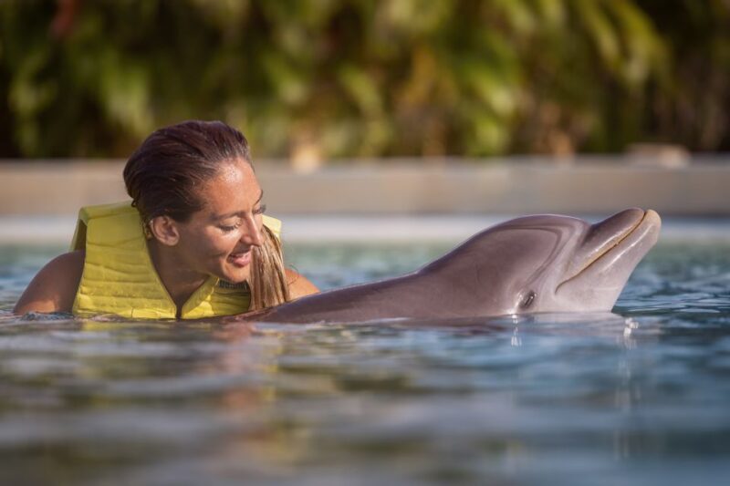 Dolphin Connection Riviera Maya: Dolphin Connection - Activity Duration and Inclusions