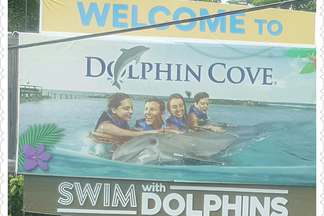 Dolphin Cove Adventure - About Your Stay