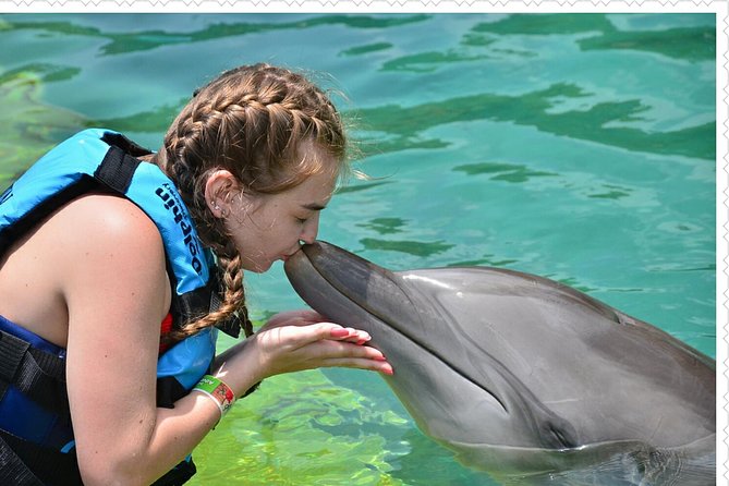 Dolphin Cove Adventure - Preparing for the Adventure