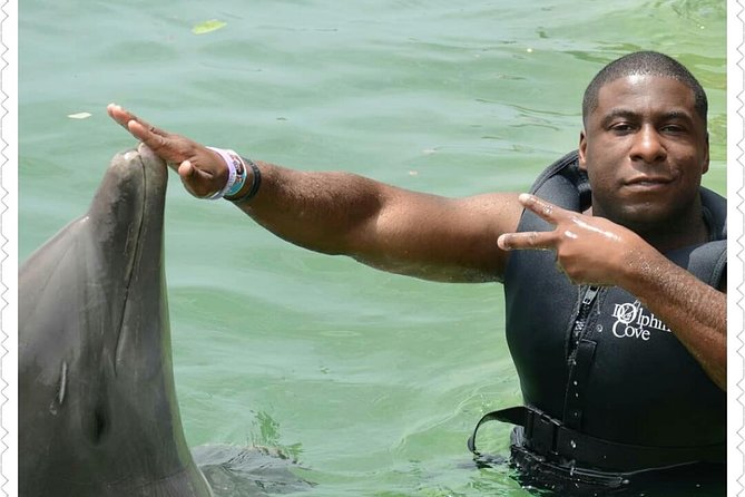 Dolphin Cove Adventure - Customer Feedback and Ratings