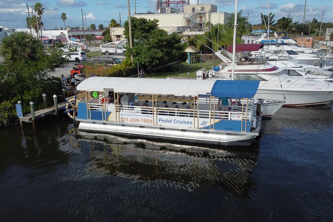 Dolphin Cruise - Additional Information