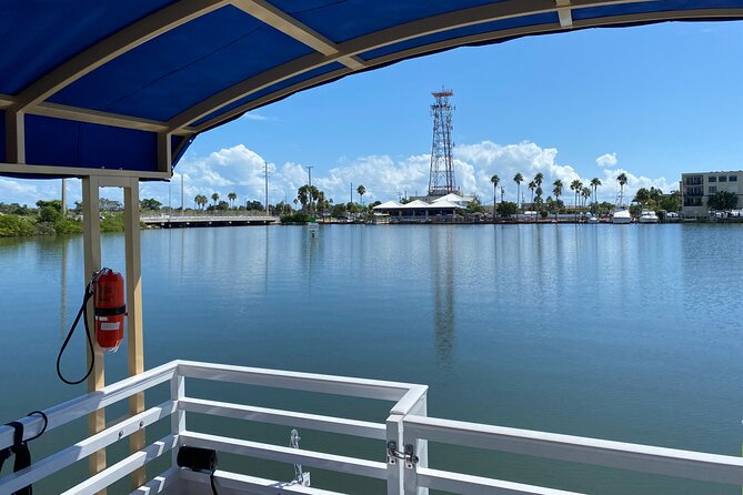 Dolphin Cruise - Booking Confirmation