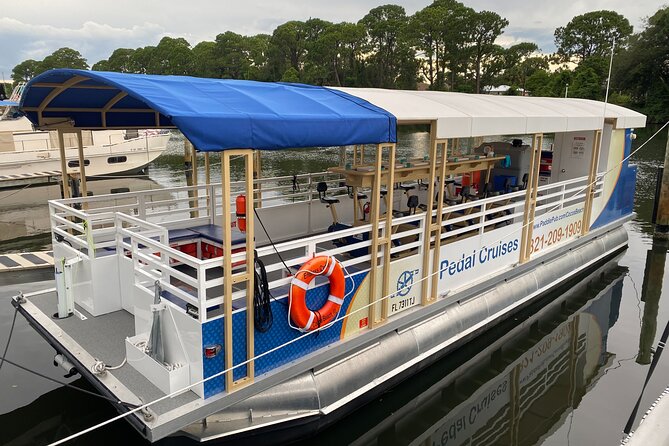 Dolphin Cruise - Accessibility