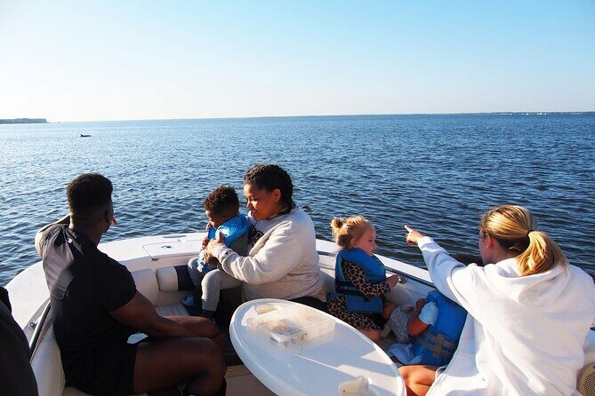 Dolphin cruise in Santa Rosa Beach - Why This Tour is Worth Considering