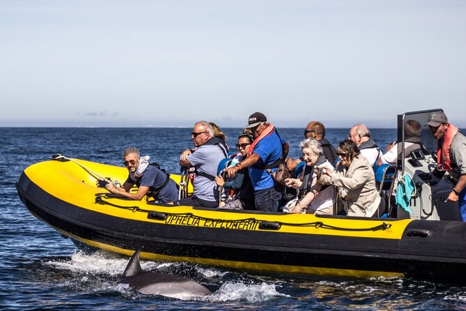 Dolphin Discovery - Health and Safety Considerations