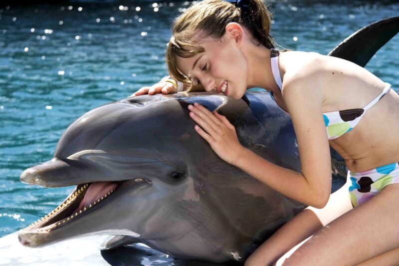 Dolphin Encounter at Ocean World, Puerto Plata - Key Points