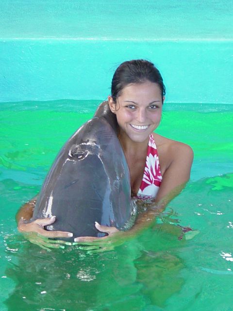 Dolphin Encounter at Ocean World, Puerto Plata - Inclusions and Facilities