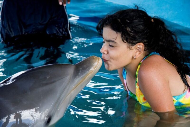Dolphin Encounter at Ocean World, Puerto Plata - Tropical Reef Snorkeling