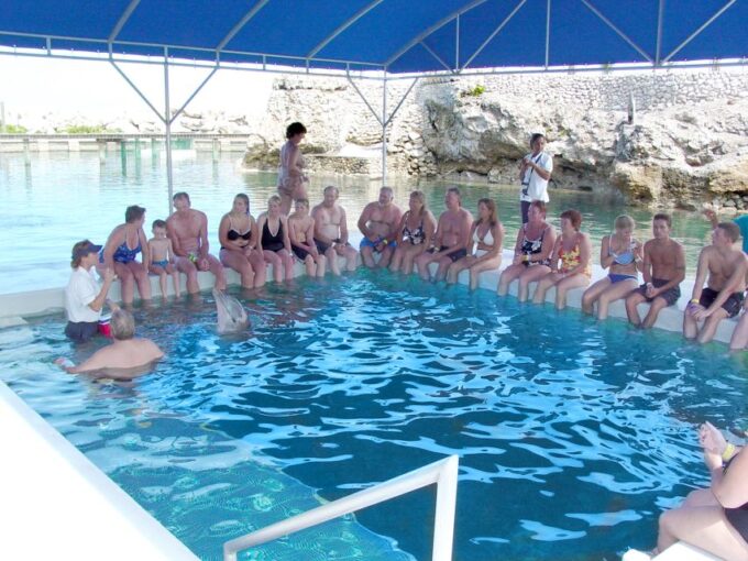 Dolphin Encounter at Ocean World, Puerto Plata - Frequently Asked Questions