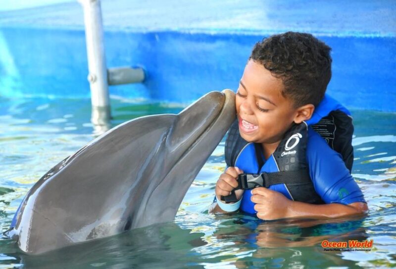 Dolphin Encounter for Dominican Residents - Key Points