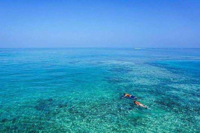 Dolphin Encounters, Ile Aux Benitier & Crystal Rock: Full-Day (Lunch & Transfer) - Snorkeling at Crystal Rock
