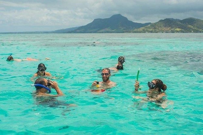 Dolphin Encounters, Ile Aux Benitier & Crystal Rock: Full-Day (Lunch & Transfer) - Relaxation on Ile Aux Benitier