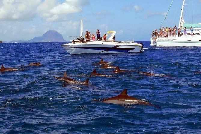 Dolphin Encounters, Ile Aux Benitier & Crystal Rock: Full-Day (Lunch & Transfer) - Cancellation and Weather Policy