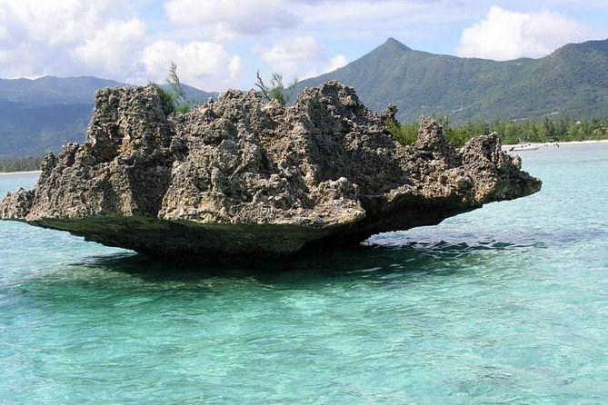 Dolphin Experience in Open Sea and South West Tour of Mauritius Including Lunch - Inclusions and Pricing