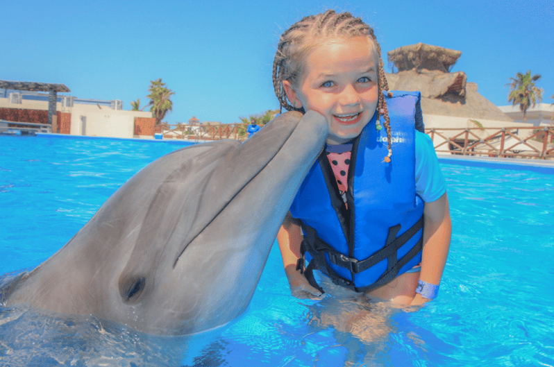 Dolphin Family Encounter - Cabo - Key Points