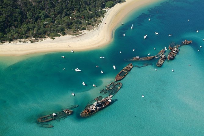 Dolphin Feeding Day Cruise to Tangalooma Island Resort on Moreton Island - Health and Safety Considerations