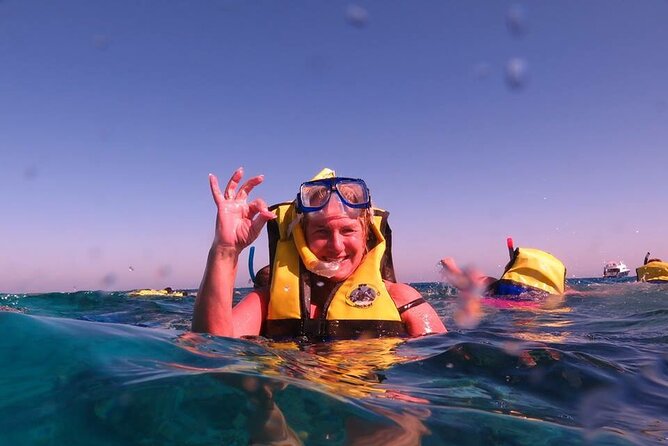 Dolphin House, Amazing Trip With Snorkeling and Dolphin Watching - Booking Information