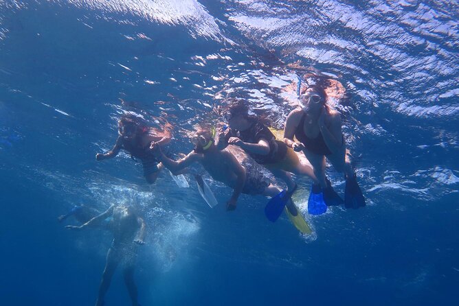 Dolphin House, Amazing Trip With Snorkeling and Dolphin Watching - Pickup and Meeting Points