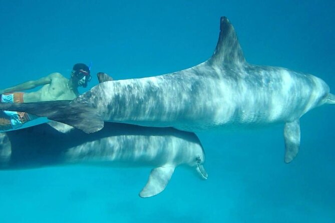 Dolphin House - National Park Fee
