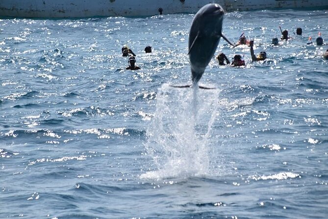 Dolphin House: Full-Day Trip by Boat in Hurghada - Inclusions of the Trip
