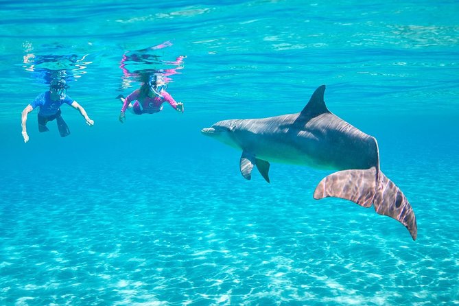 Dolphin House Royal VIP Sea Trip Water Sports Transfer HURGHADA - Participating in Water Sports Activities