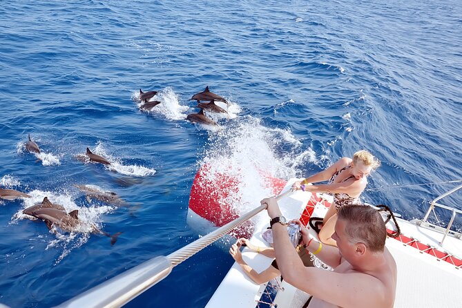 Dolphin House Sea Trip - Hurghada - Activity Inclusions and Pricing