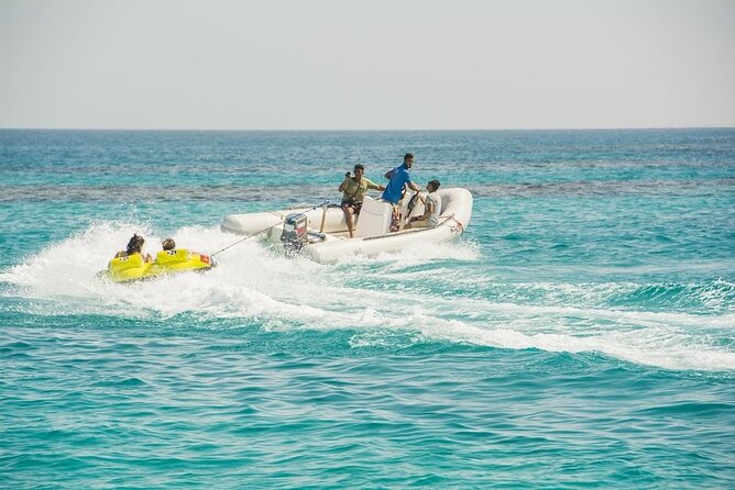 Dolphin House Sea Trip - Hurghada - Feedback and Ratings