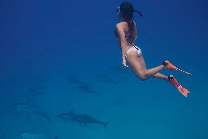 Dolphin House Sea Trip - Hurghada - Exploring the Dolphin House