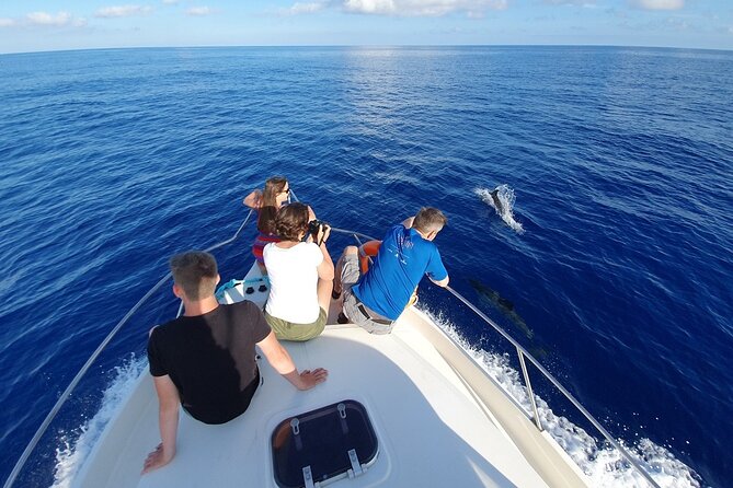 Dolphin House Sea Trip With Water Sports & Transfer - Hurghada - Pickup and Dropoff Details