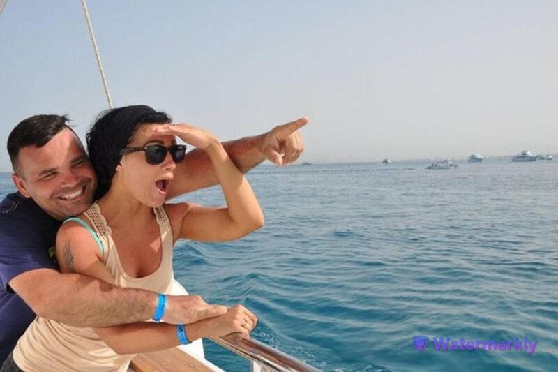 Dolphin House Snorkeling Trip - Inclusions and Requirements