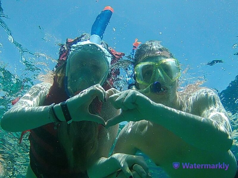 Dolphin House Snorkeling Trip - Transfers and Fees