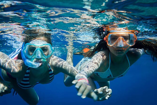 Dolphin House With Snorkeling & Lunch -Hurghada - Experience Overview