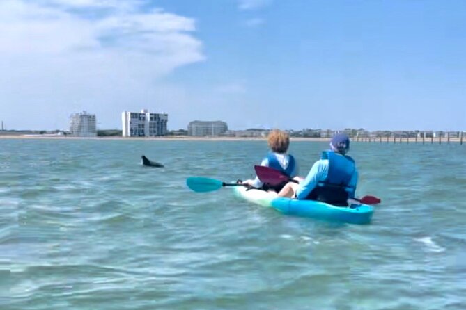 Dolphin Kayak Tour in Virginia Beach Must Know How to Swim - Included in the Experience