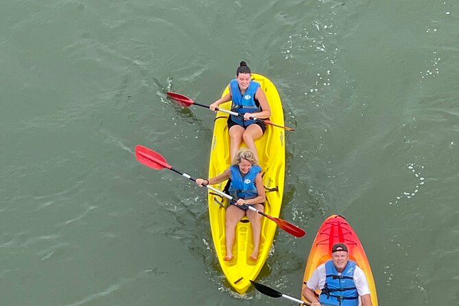 Dolphin Kayak Tour in Virginia Beach Must Know How to Swim - Guests Feedback
