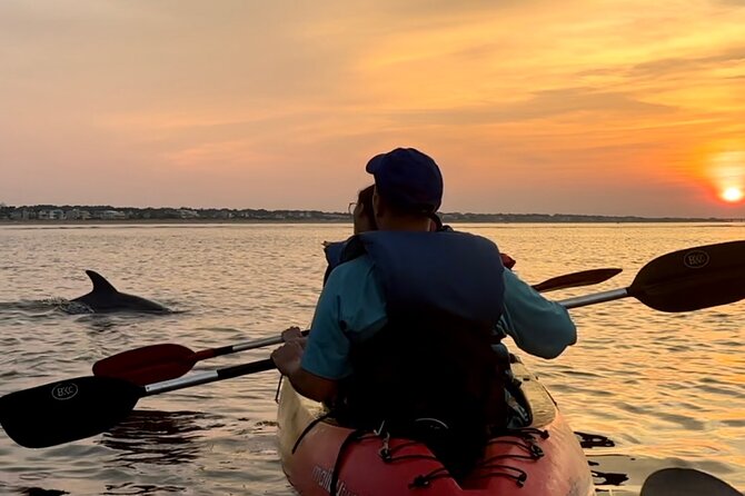 Dolphin Kayak Tour in Virginia Beach Must Know How to Swim - Preparing for the Adventure