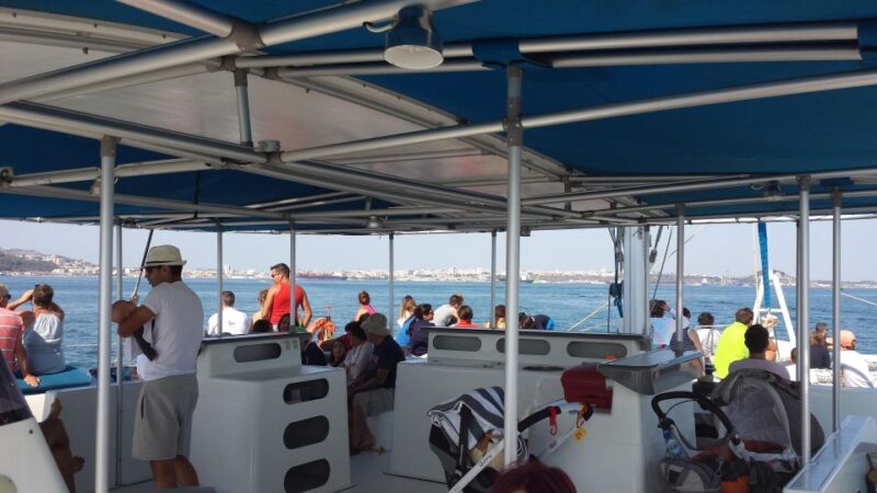 DOLPHIN LOVERS FULL DAY TOUR - Pickup and Arrabida Natural Park