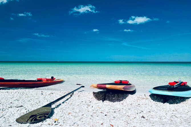 Dolphin, Manatee and Sea Turtle Adventure Tour - Frequently Asked Questions